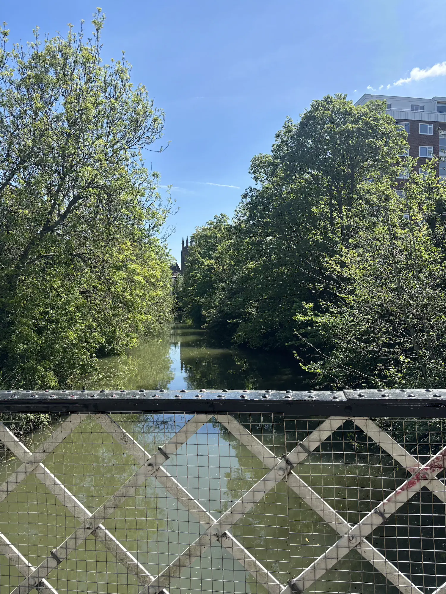 Shrubsy Art Bridge
