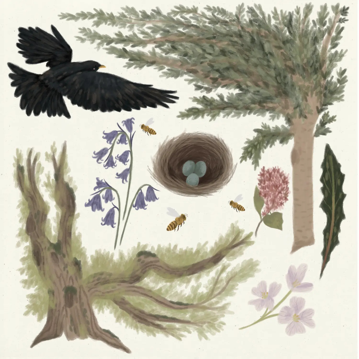 Shrubsy Art Woodland Trust